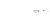 Technoanimals